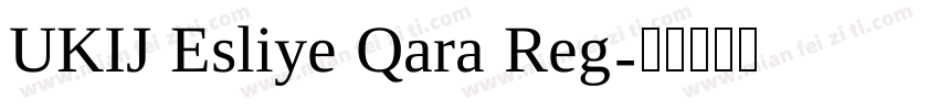 UKIJ Esliye Qara Reg字体转换